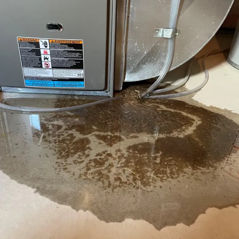 Appliance Leak Cleanup in Oshkosh, NE